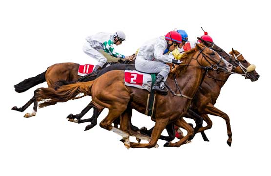 hr Horse racing icon