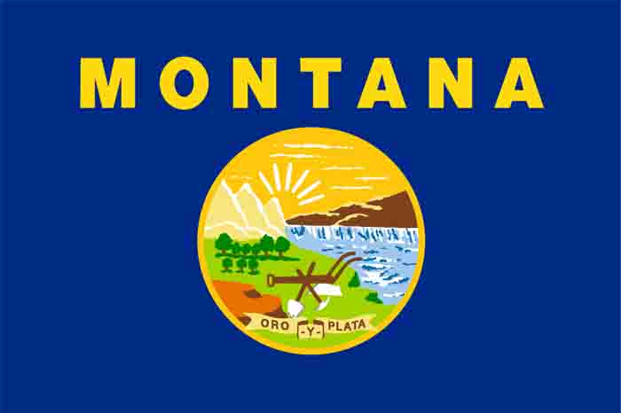 Montana Flag icon