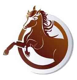 Horse Race icon