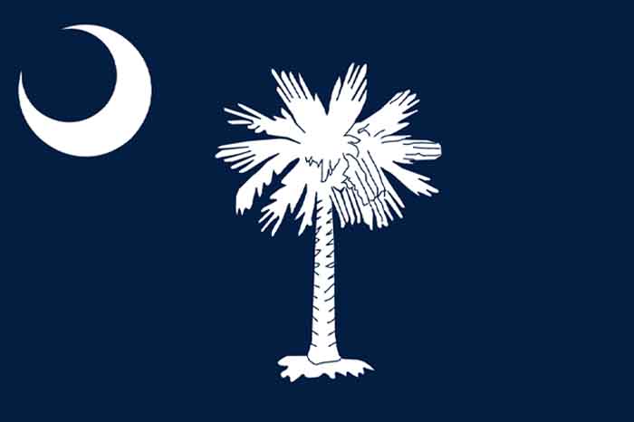 South Carolina flag